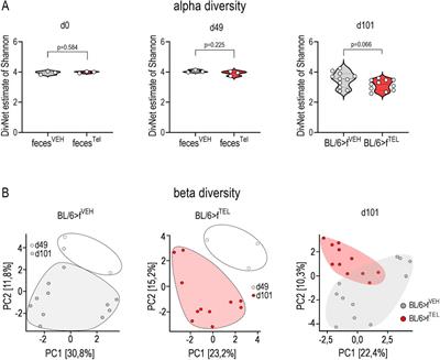 Increase in body weight is lowered when mice received fecal microbiota transfer from donor mice treated with the AT1 receptor antagonist telmisartan